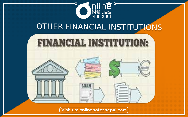 Other Financial Institutions